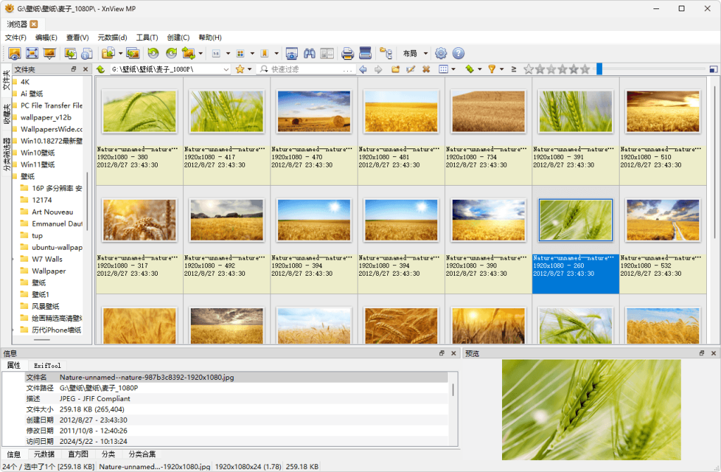 图片浏览查看工具 | XnView MP v1.12.1 中文绿色版 图片浏览查看工具 | XnView MP v1.12.1 中文绿色版
