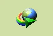 IDM下载神器 | Internet Download Manager v6.43.11 中文绿色版